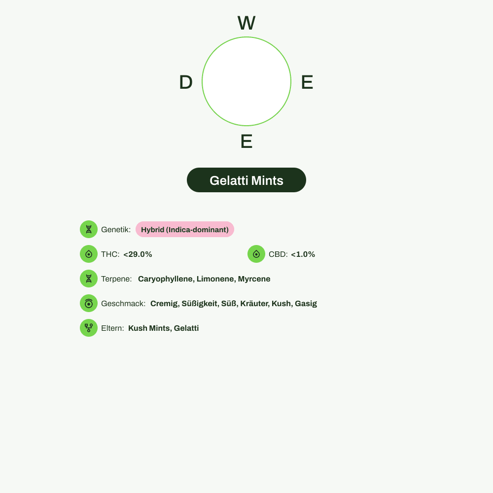 Infografik über THC-Gehalt, CBD-Gehalt, Terpene, Wirkungen, Geschmack von Gelatti Mints