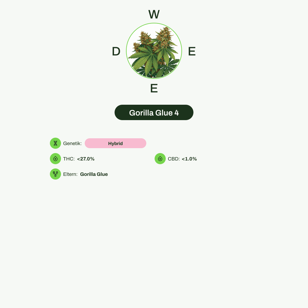 Infografik über THC-Gehalt, CBD-Gehalt von Gorilla Glue 4