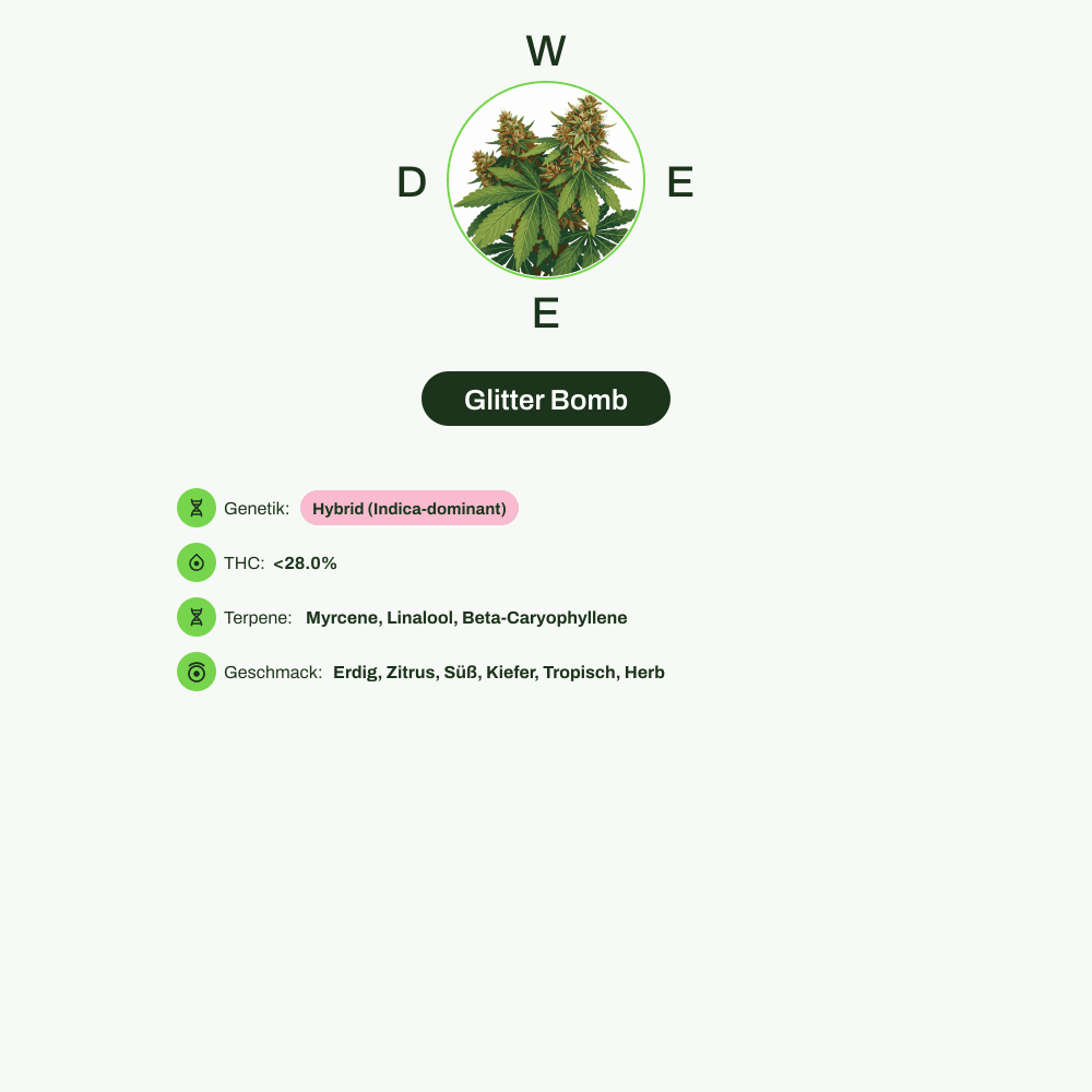 Infografik über THC-Gehalt, CBD-Gehalt, Terpene, Wirkungen, Geschmack von Glitter Bomb