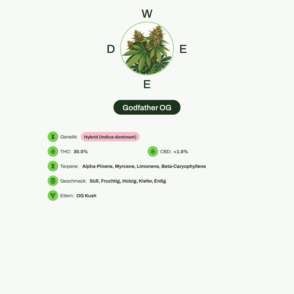 Infografik über THC-Gehalt, CBD-Gehalt, Terpene, Wirkungen, Geschmack von Godfather OG