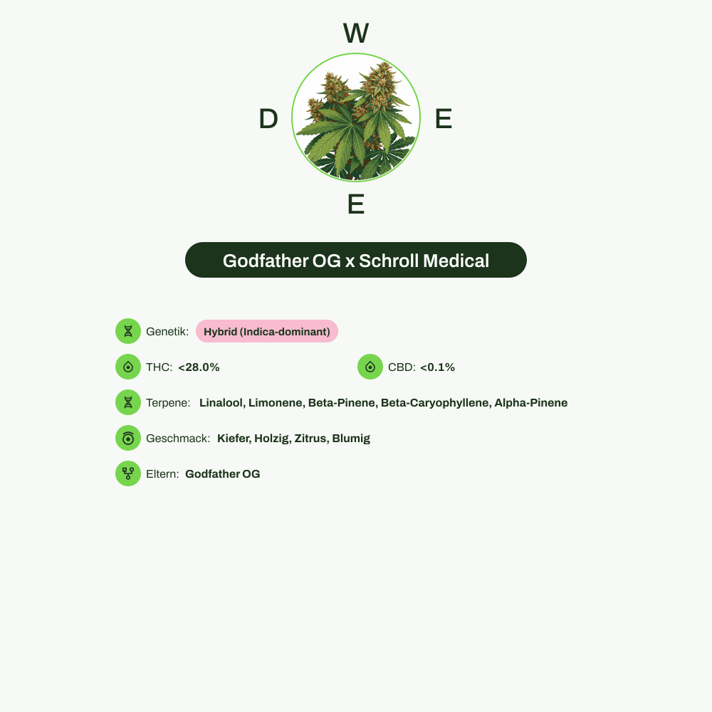 Infografik über THC-Gehalt, CBD-Gehalt, Terpene, Wirkungen, Geschmack von Godfather OG x Schroll Medical