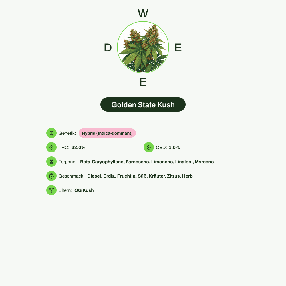 Infografik über THC-Gehalt, CBD-Gehalt, Terpene, Wirkungen, Geschmack von Golden State Kush