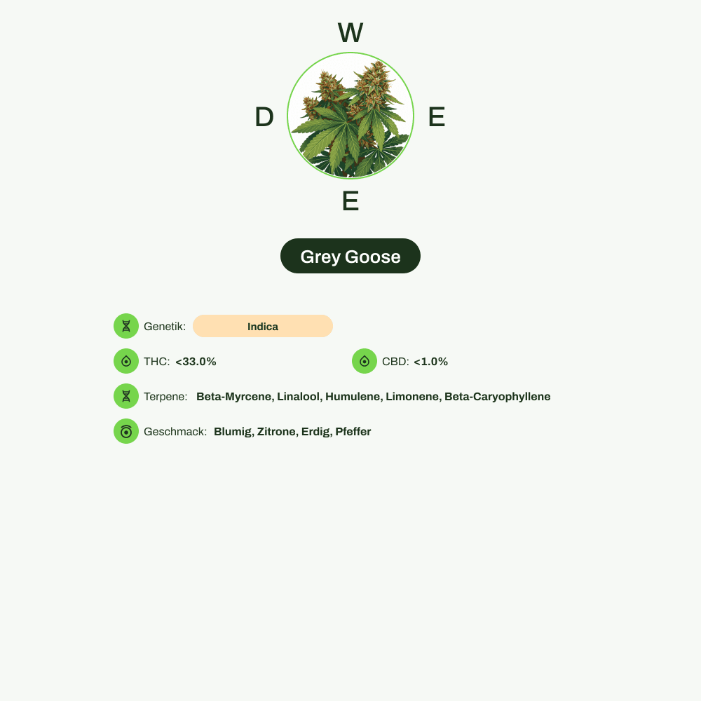 Infografik über THC-Gehalt, CBD-Gehalt, Terpene, Wirkungen, Geschmack von Grey Goose