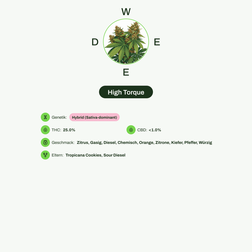 Infografik über THC-Gehalt, CBD-Gehalt, Wirkungen, Geschmack von High Torque