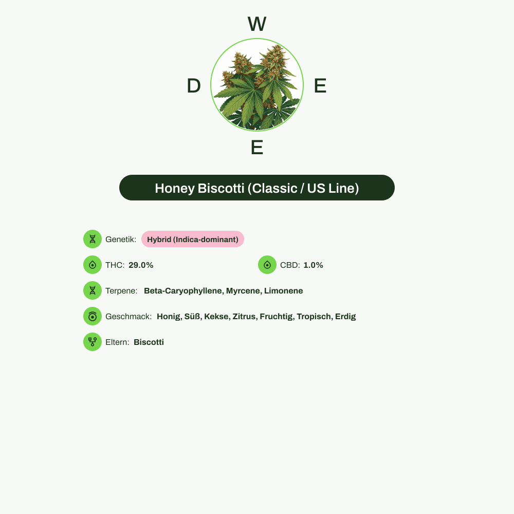 Infografik über THC-Gehalt, CBD-Gehalt, Terpene, Wirkungen, Geschmack von Honey Biscotti (Classic / US Line)