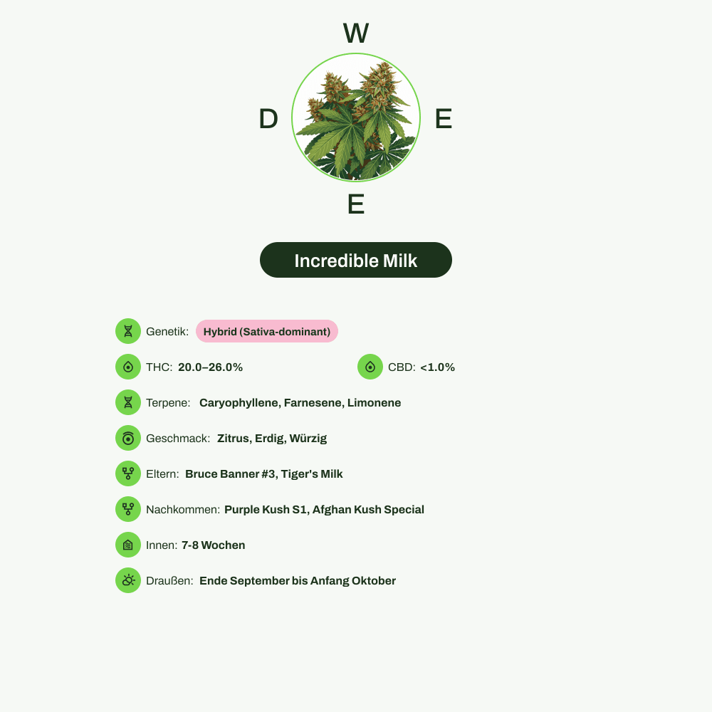 Infografik über THC-Gehalt, CBD-Gehalt, Terpene, Wirkungen, Geschmack von Incredible Milk