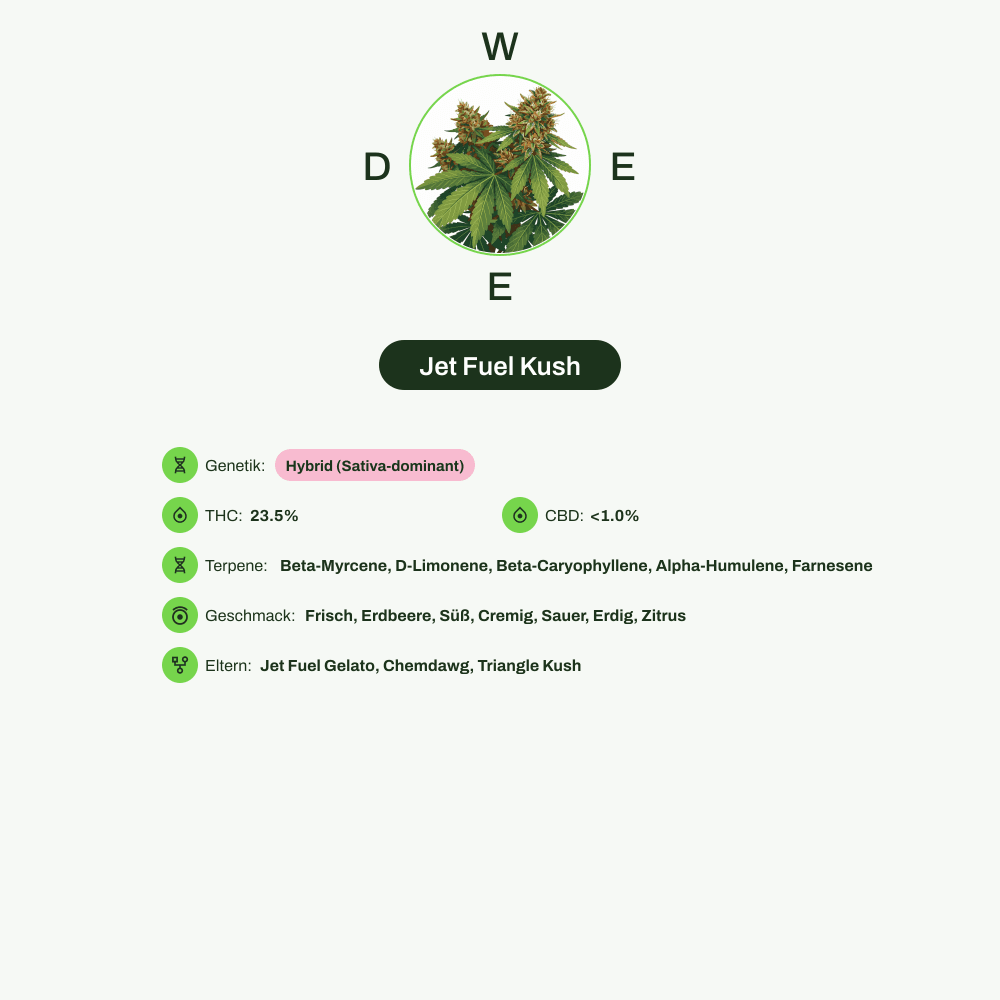 Infografik über THC-Gehalt, CBD-Gehalt, Terpene, Wirkungen, Geschmack von Jet Fuel Kush