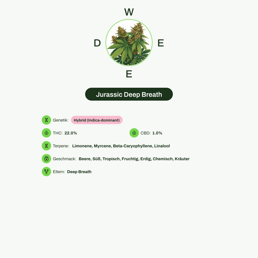 Infografik über THC-Gehalt, CBD-Gehalt, Terpene, Wirkungen, Geschmack von Jurassic Deep Breath