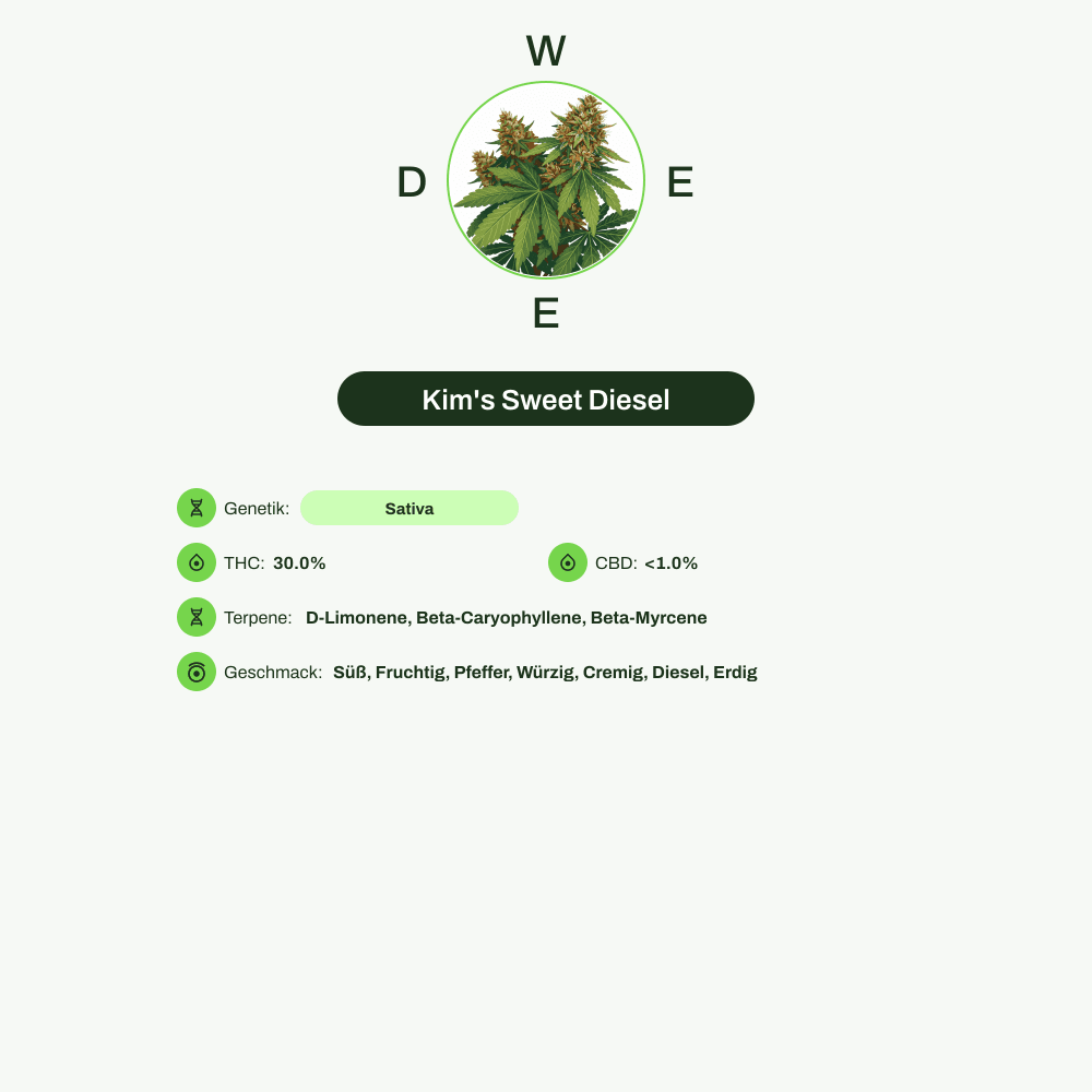 Infografik über THC-Gehalt, CBD-Gehalt, Terpene, Wirkungen, Geschmack von Kim's Sweet Diesel