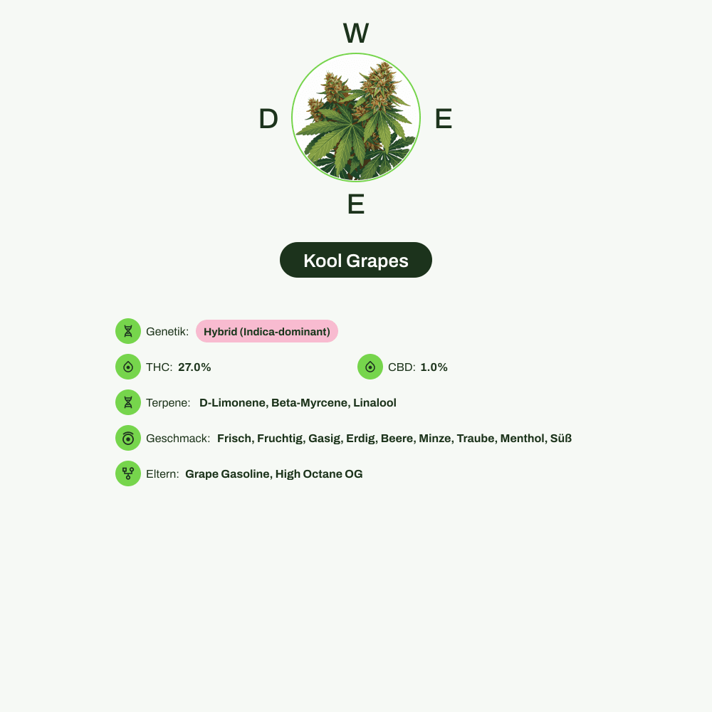 Infografik über THC-Gehalt, CBD-Gehalt, Terpene, Wirkungen, Geschmack von Kool Grapes