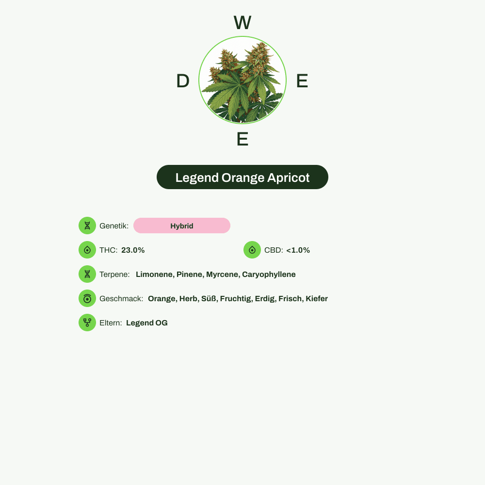 Infografik über THC-Gehalt, CBD-Gehalt, Terpene, Wirkungen, Geschmack von Legend Orange Apricot