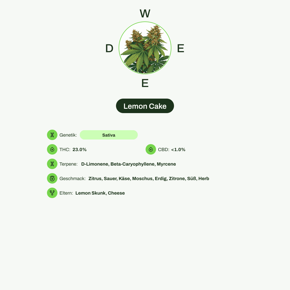 Infografik über THC-Gehalt, CBD-Gehalt, Terpene, Wirkungen, Geschmack von Lemon Cake