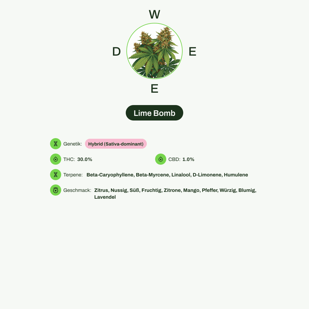 Infografik über THC-Gehalt, CBD-Gehalt, Terpene, Wirkungen, Geschmack von Lime Bomb