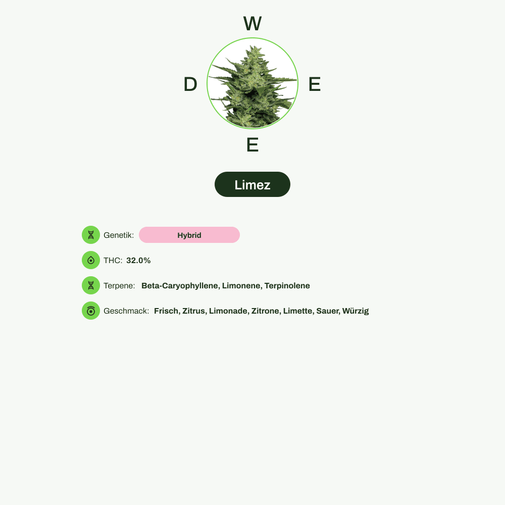 Infografik über THC-Gehalt, CBD-Gehalt, Terpene, Wirkungen, Geschmack von Limez
