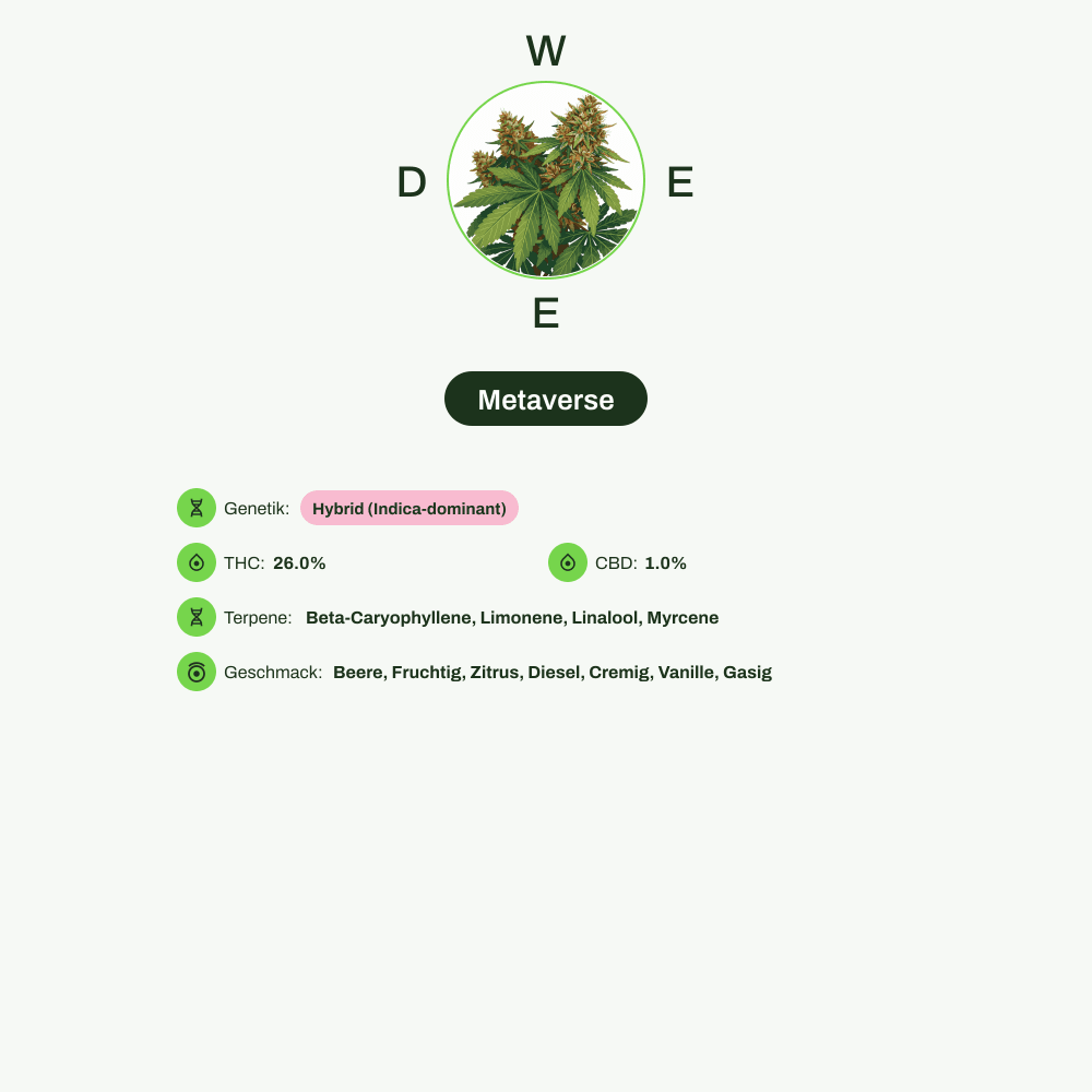 Infografik über THC-Gehalt, CBD-Gehalt, Terpene, Wirkungen, Geschmack von Metaverse