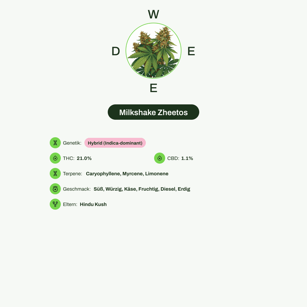 Infografik über THC-Gehalt, CBD-Gehalt, Terpene, Wirkungen, Geschmack von Milkshake Zheetos