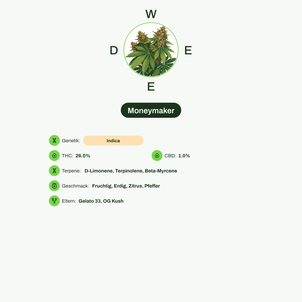 Infografik über THC-Gehalt, CBD-Gehalt, Terpene, Wirkungen, Geschmack von Moneymaker
