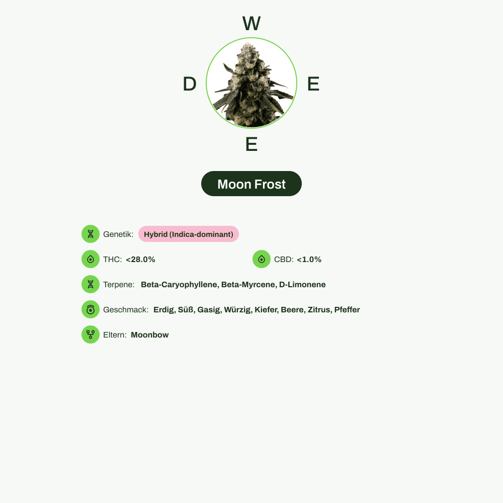 Infografik über THC-Gehalt, CBD-Gehalt, Terpene, Wirkungen, Geschmack von Moon Frost