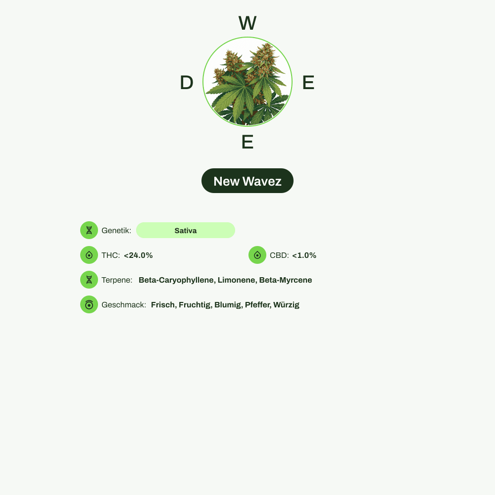Infografik über THC-Gehalt, CBD-Gehalt, Terpene, Wirkungen, Geschmack von New Wavez