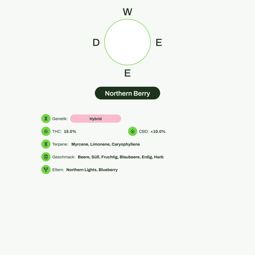 Infografik über THC-Gehalt, CBD-Gehalt, Terpene, Wirkungen, Geschmack von Northern Berry