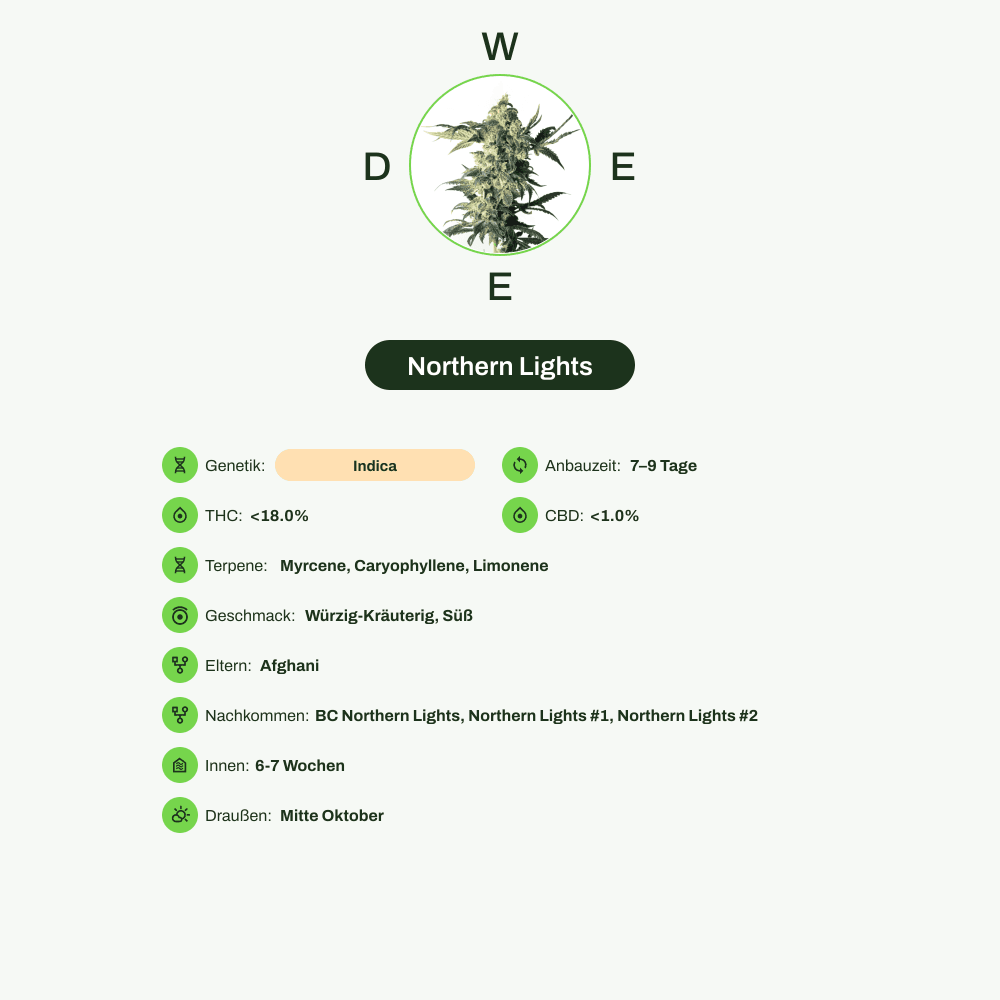 Infografik über THC-Gehalt, CBD-Gehalt, Terpene, Wirkungen, Geschmack von Northern Lights
