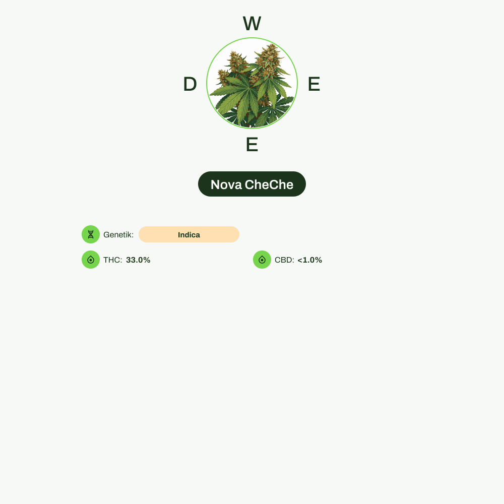Infografik über THC-Gehalt, CBD-Gehalt von Nova CheChe