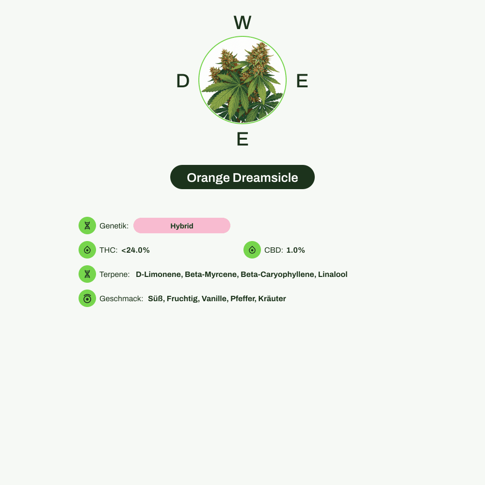 Infografik über THC-Gehalt, CBD-Gehalt, Terpene, Wirkungen, Geschmack von Orange Dreamsicle