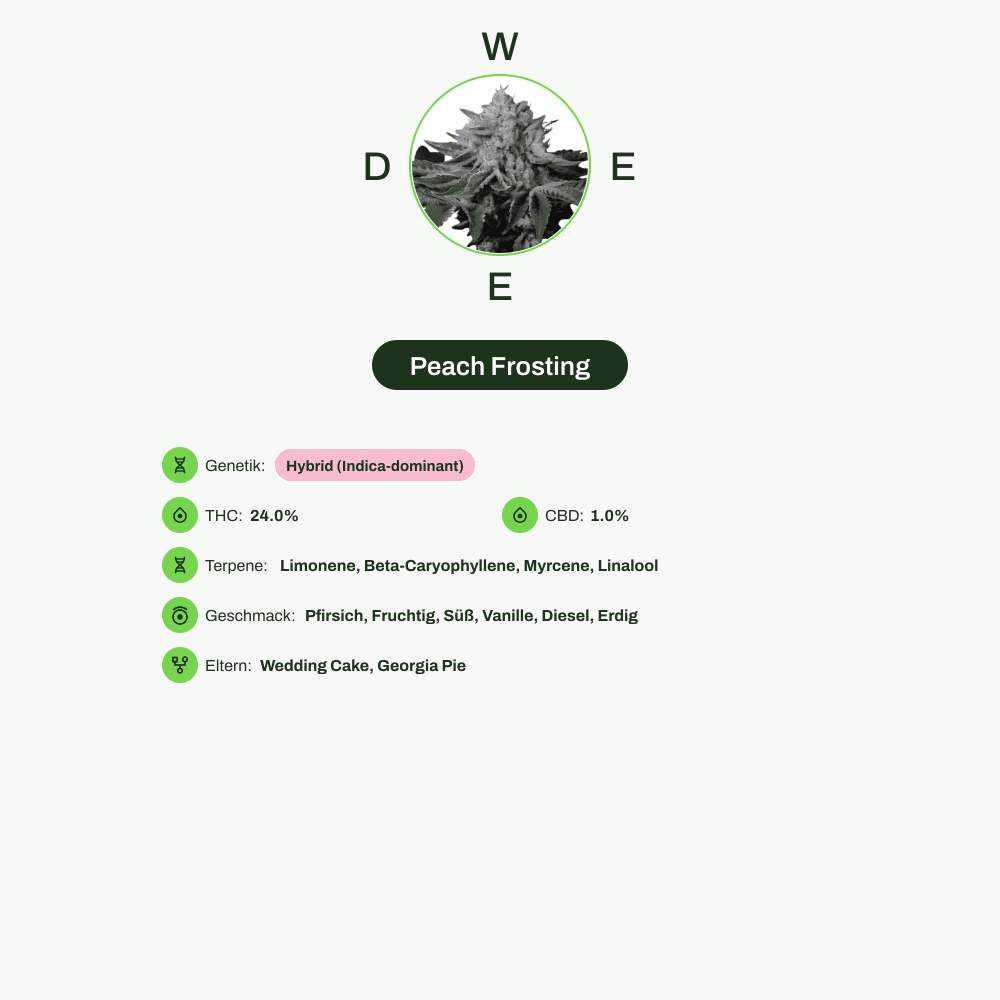 Infografik über THC-Gehalt, CBD-Gehalt, Terpene, Wirkungen, Geschmack von Peach Frosting