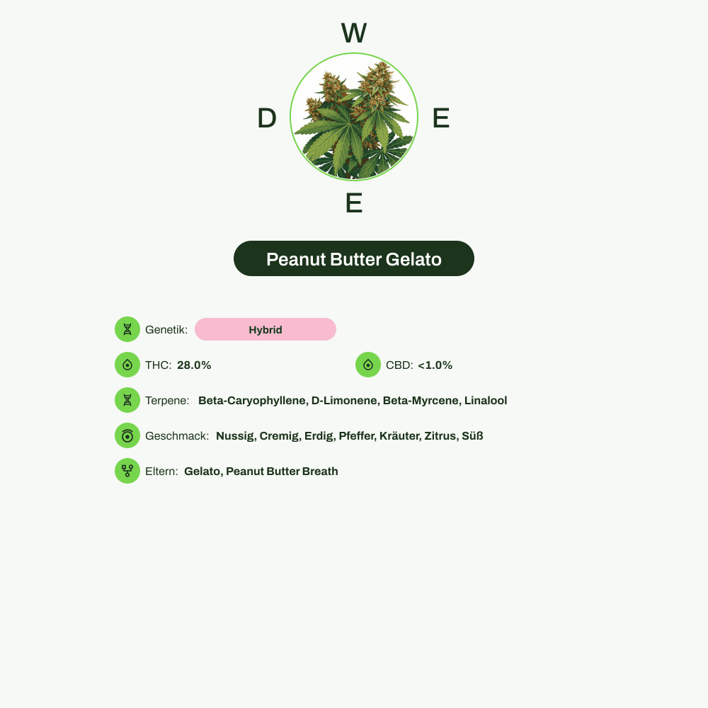 Infografik über THC-Gehalt, CBD-Gehalt, Terpene, Wirkungen, Geschmack von Peanut Butter Gelato