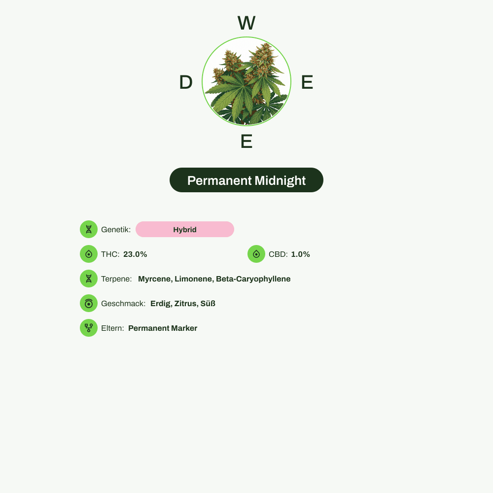 Infografik über THC-Gehalt, CBD-Gehalt, Terpene, Wirkungen, Geschmack von Permanent Midnight