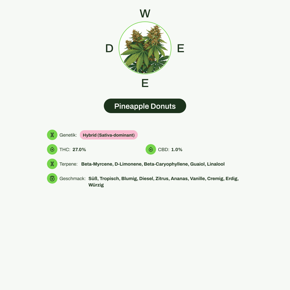 Infografik über THC-Gehalt, CBD-Gehalt, Terpene, Wirkungen, Geschmack von Pineapple Donuts
