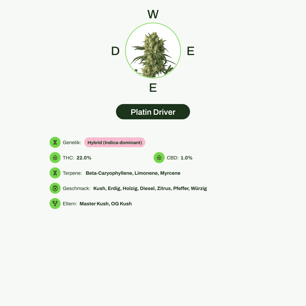 Infografik über THC-Gehalt, CBD-Gehalt, Terpene, Wirkungen, Geschmack von Platin Driver