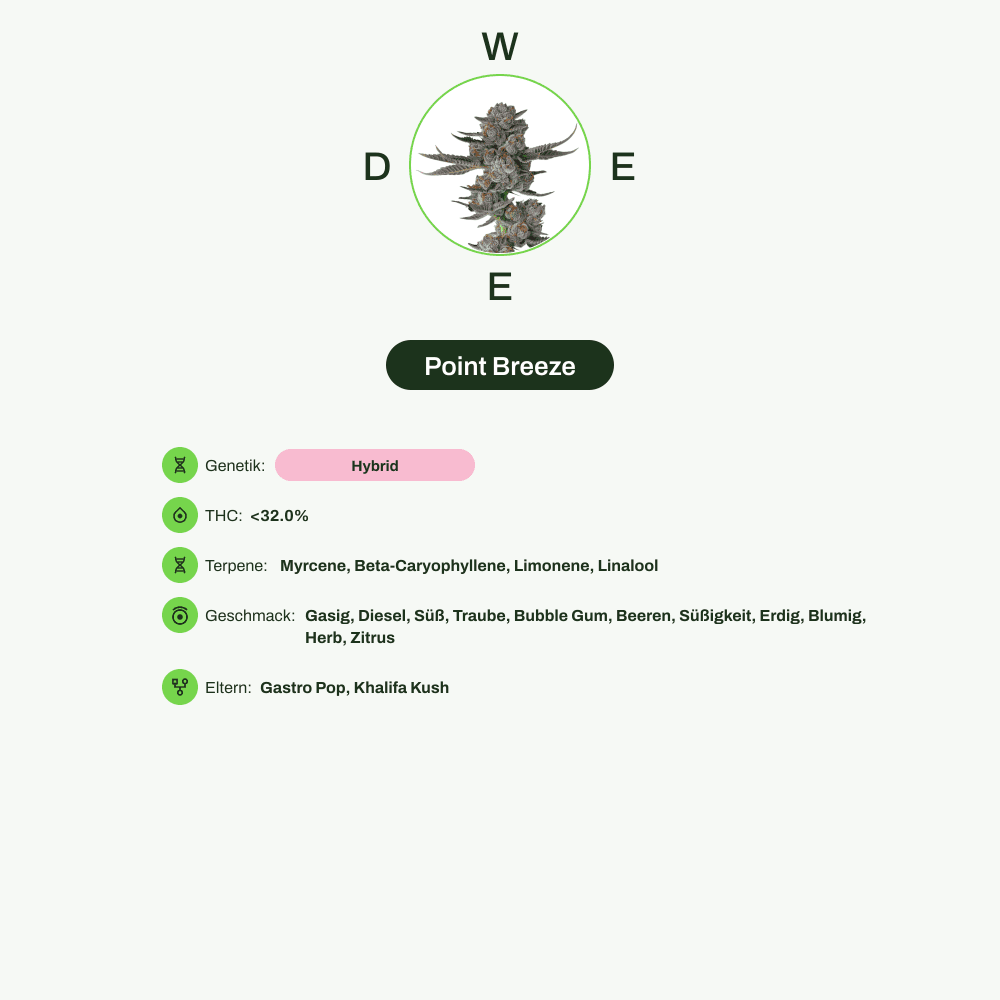 Infografik über THC-Gehalt, CBD-Gehalt, Terpene, Wirkungen, Geschmack von Point Breeze
