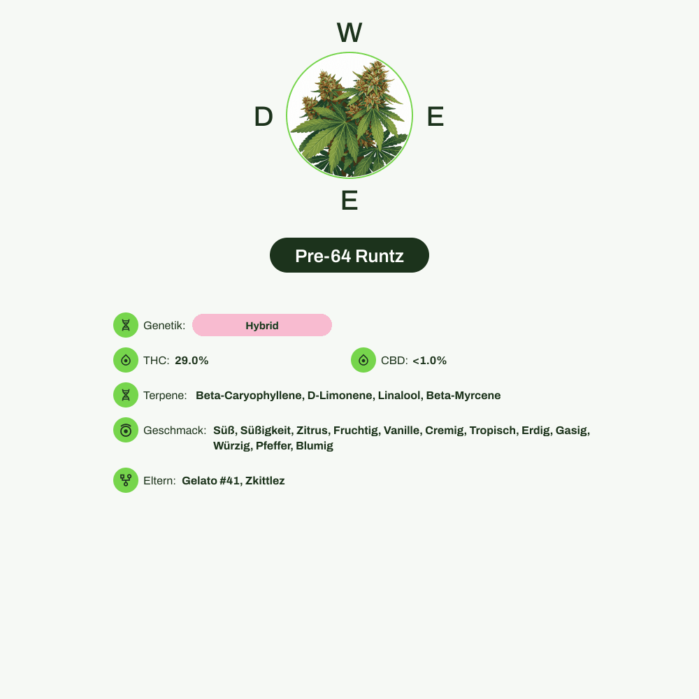 Infografik über THC-Gehalt, CBD-Gehalt, Terpene, Wirkungen, Geschmack von Pre-64 Runtz