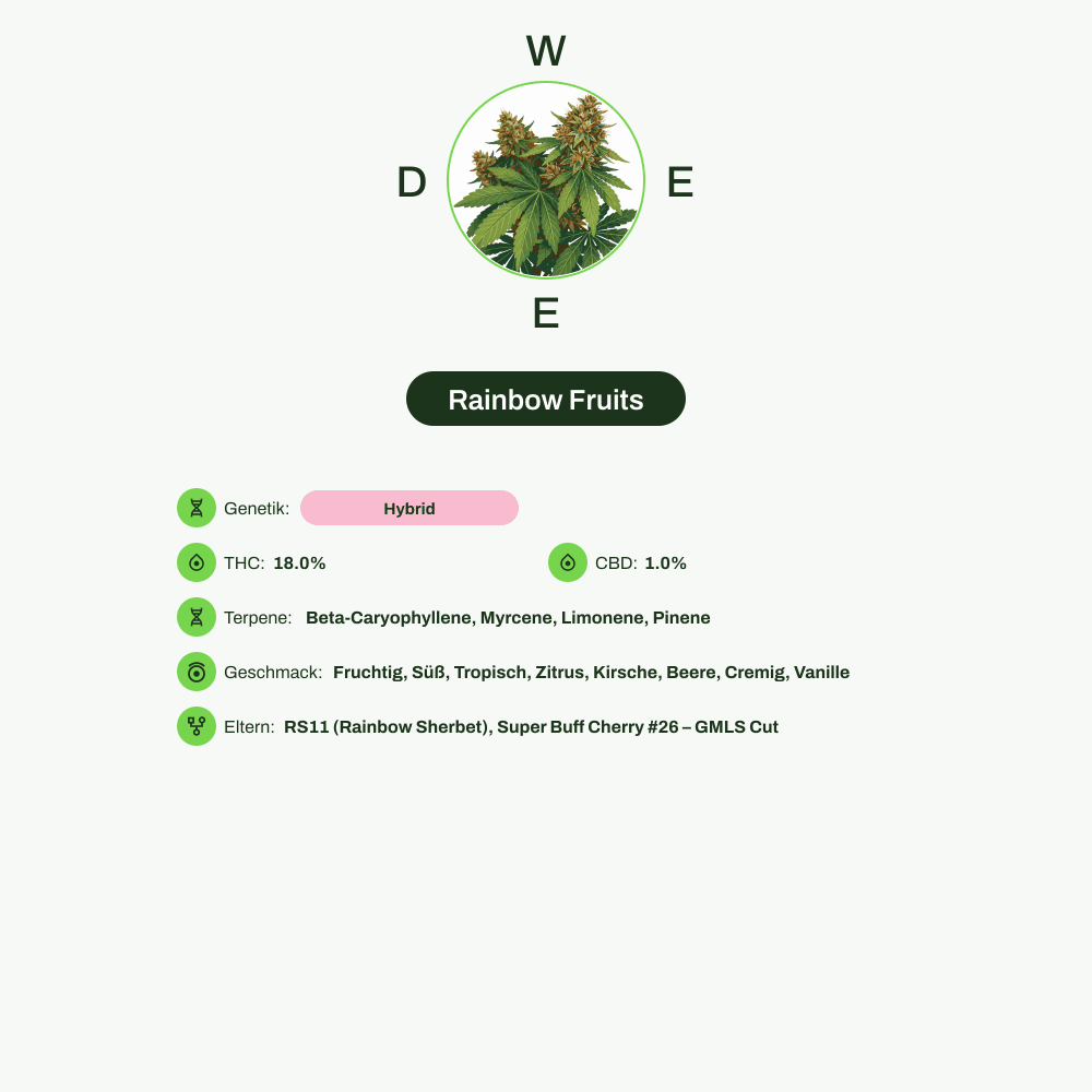 Infografik über THC-Gehalt, CBD-Gehalt, Terpene, Wirkungen, Geschmack von Rainbow Fruits