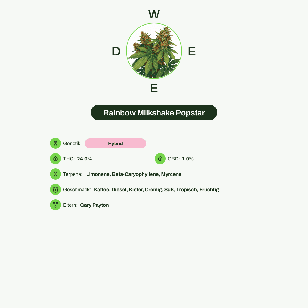 Infografik über THC-Gehalt, CBD-Gehalt, Terpene, Wirkungen, Geschmack von Rainbow Milkshake Popstar