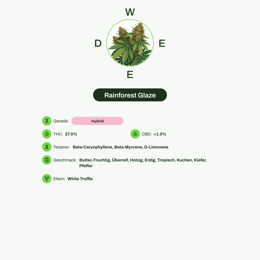 Infografik über THC-Gehalt, CBD-Gehalt, Terpene, Wirkungen, Geschmack von Rainforest Glaze