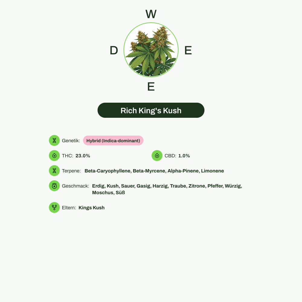 Infografik über THC-Gehalt, CBD-Gehalt, Terpene, Wirkungen, Geschmack von Rich King's Kush
