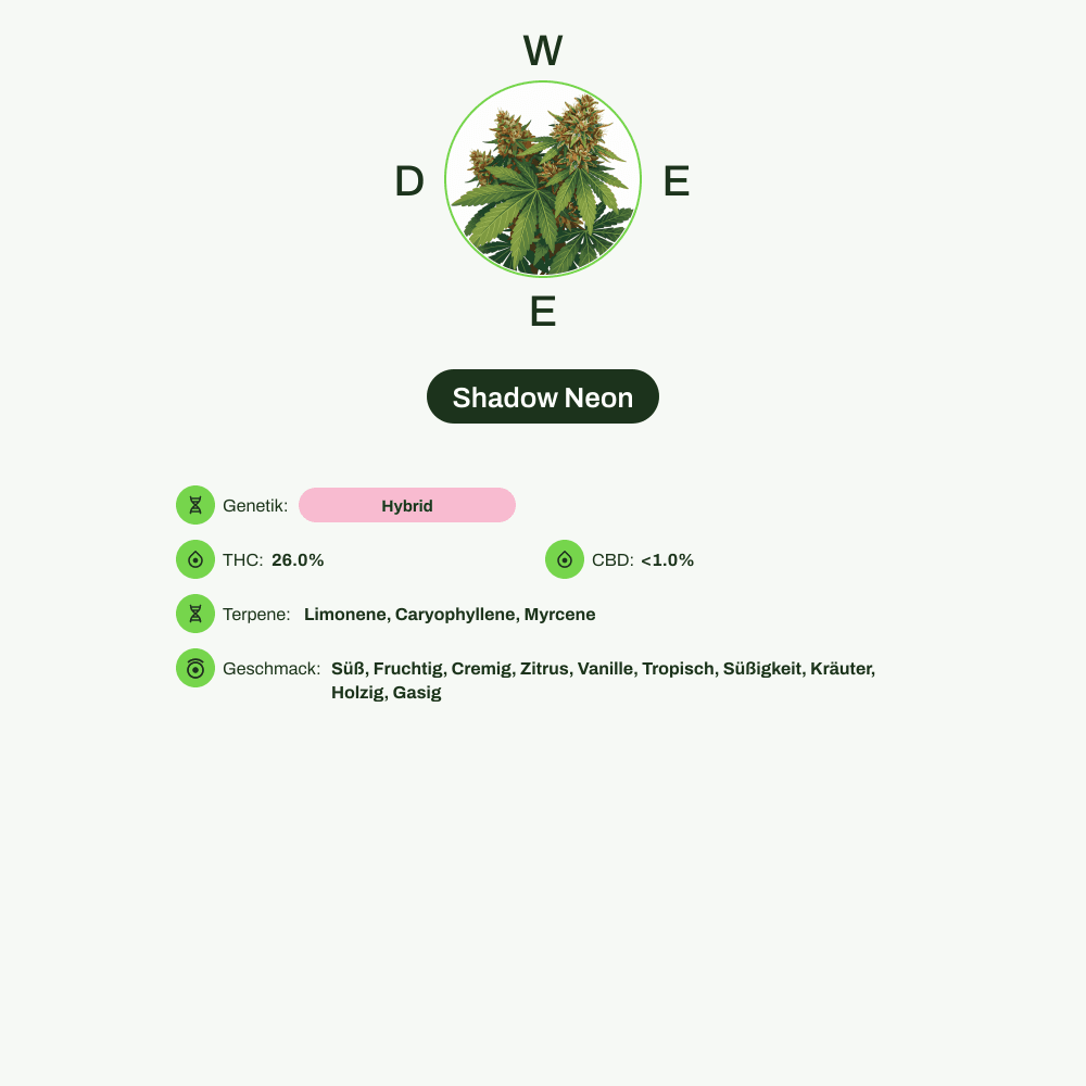 Infografik über THC-Gehalt, CBD-Gehalt, Terpene, Wirkungen, Geschmack von Shadow Neon