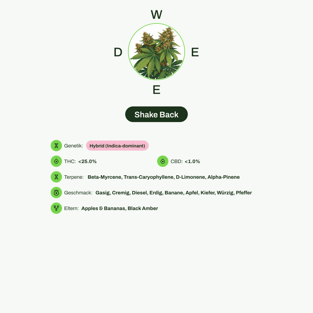 Infografik über THC-Gehalt, CBD-Gehalt, Terpene, Wirkungen, Geschmack von Shake Back