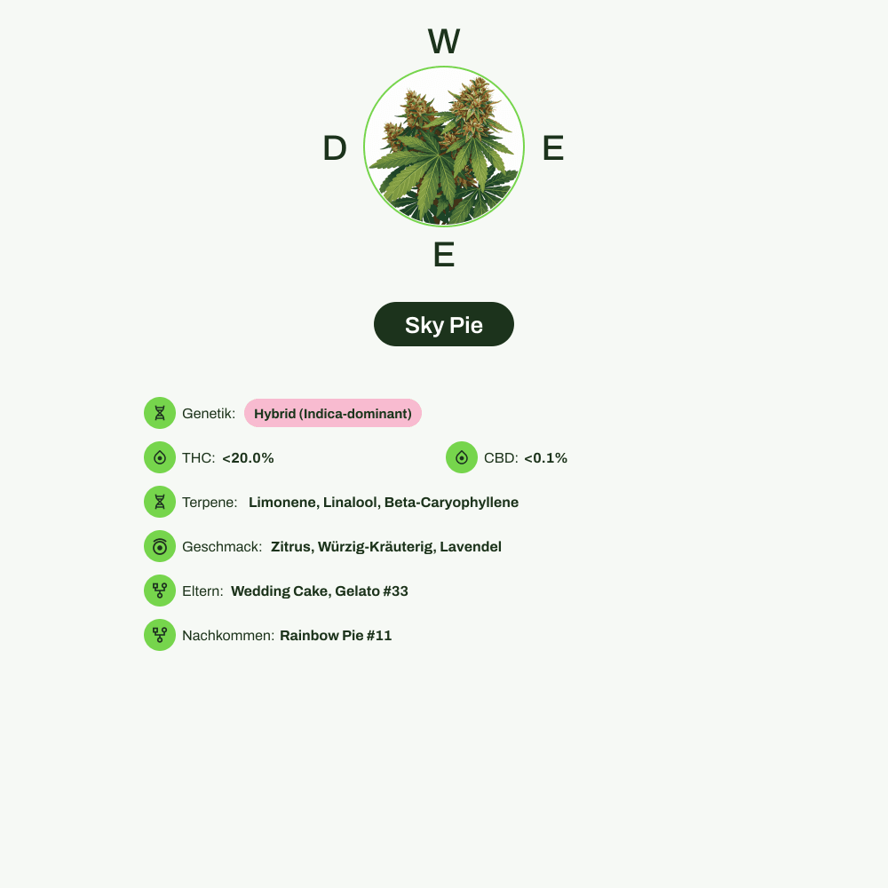 Infografik über THC-Gehalt, CBD-Gehalt, Terpene, Wirkungen, Geschmack von Sky Pie