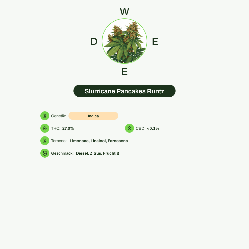 Infografik über THC-Gehalt, CBD-Gehalt, Terpene, Wirkungen, Geschmack von Slurricane Pancakes Runtz