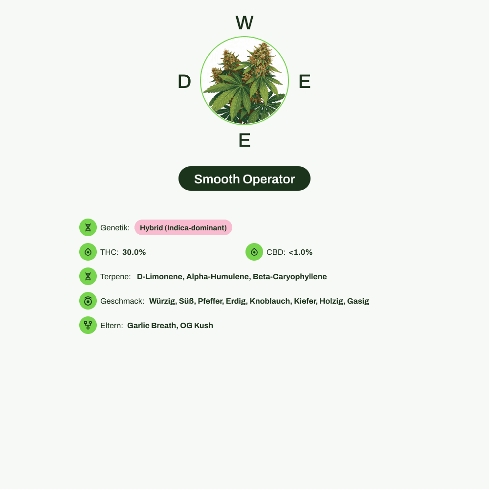 Infografik über THC-Gehalt, CBD-Gehalt, Terpene, Wirkungen, Geschmack von Smooth Operator