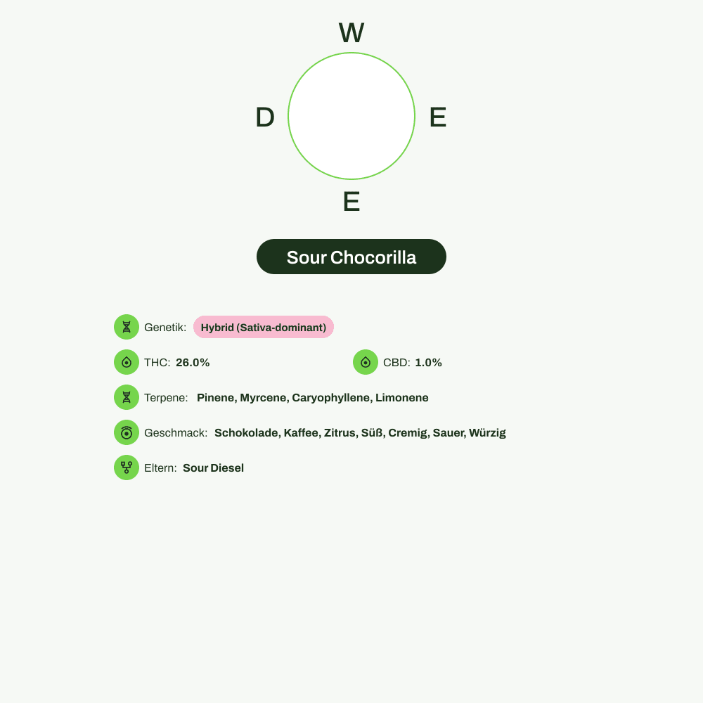 Infografik über THC-Gehalt, CBD-Gehalt, Terpene, Wirkungen, Geschmack von Sour Chocorilla