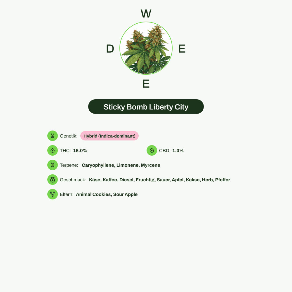 Infografik über THC-Gehalt, CBD-Gehalt, Terpene, Wirkungen, Geschmack von Sticky Bomb Liberty City