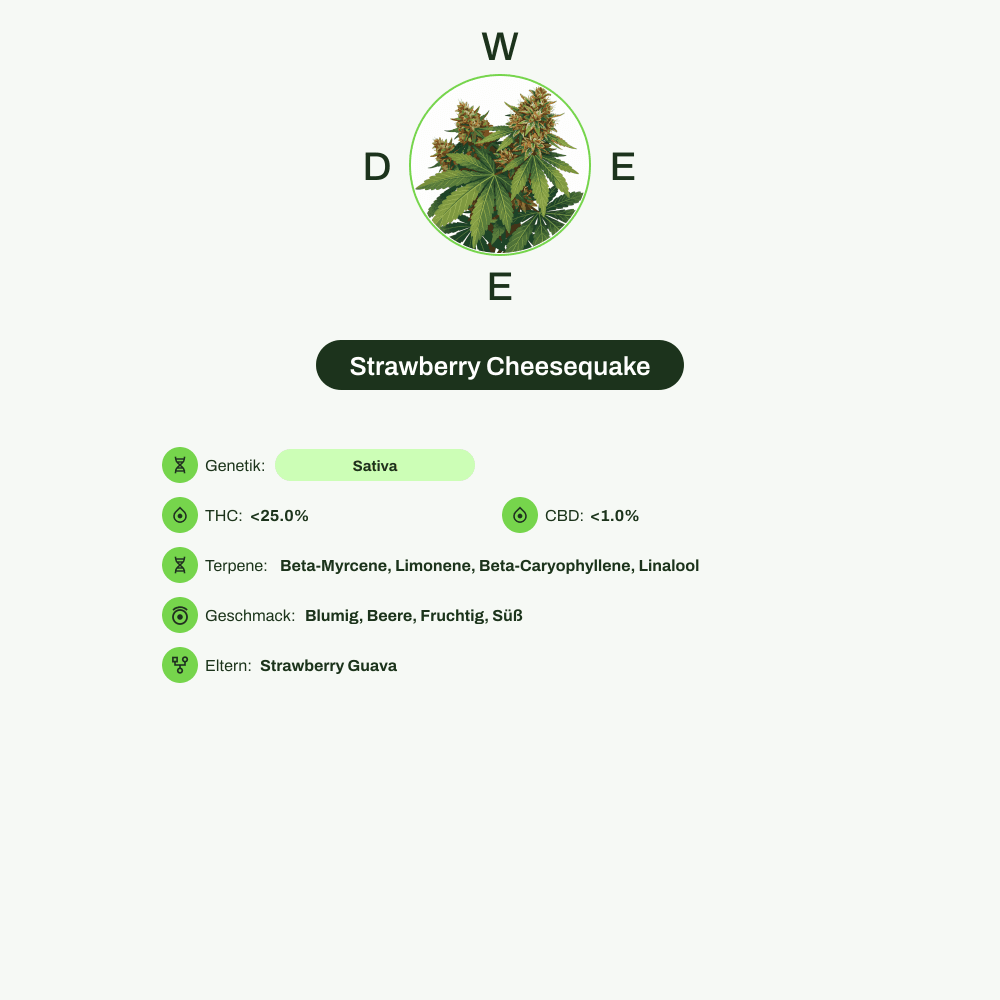 Infografik über THC-Gehalt, CBD-Gehalt, Terpene, Wirkungen, Geschmack von Strawberry Cheesequake