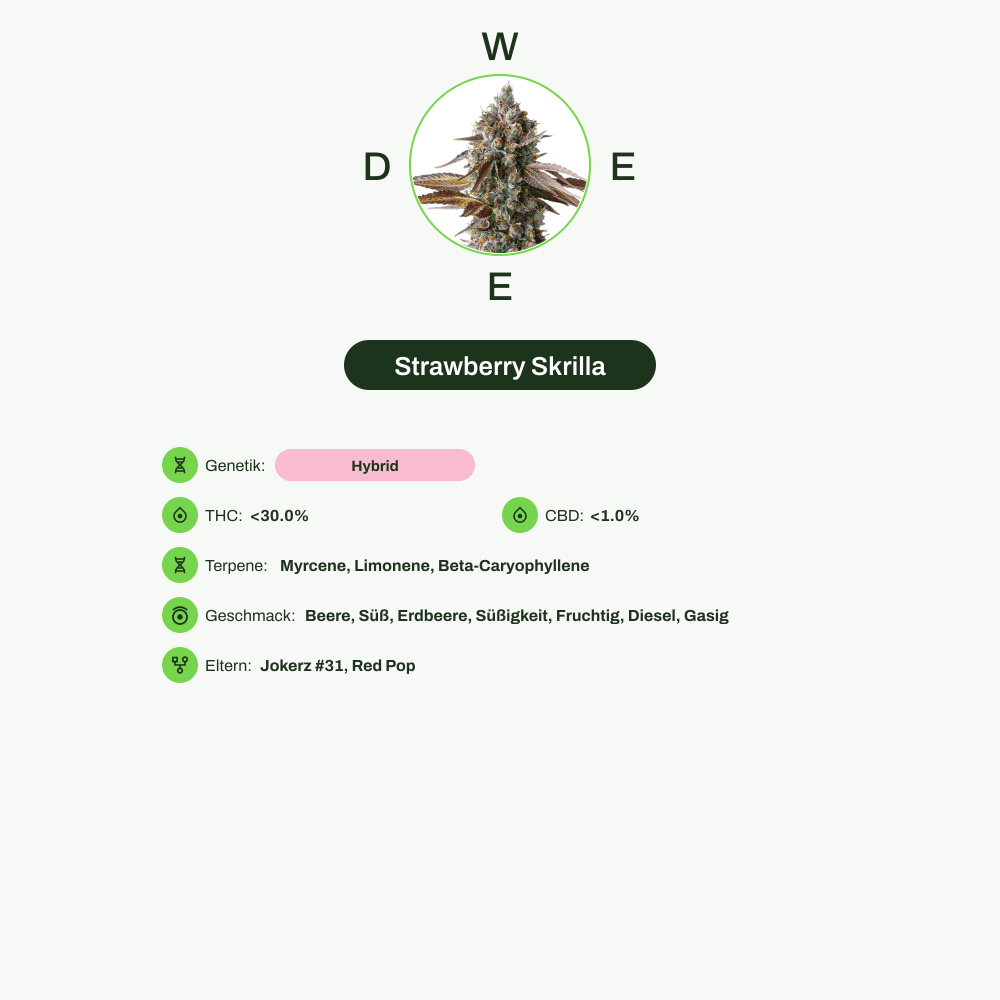 Infografik über THC-Gehalt, CBD-Gehalt, Terpene, Wirkungen, Geschmack von Strawberry Skrilla