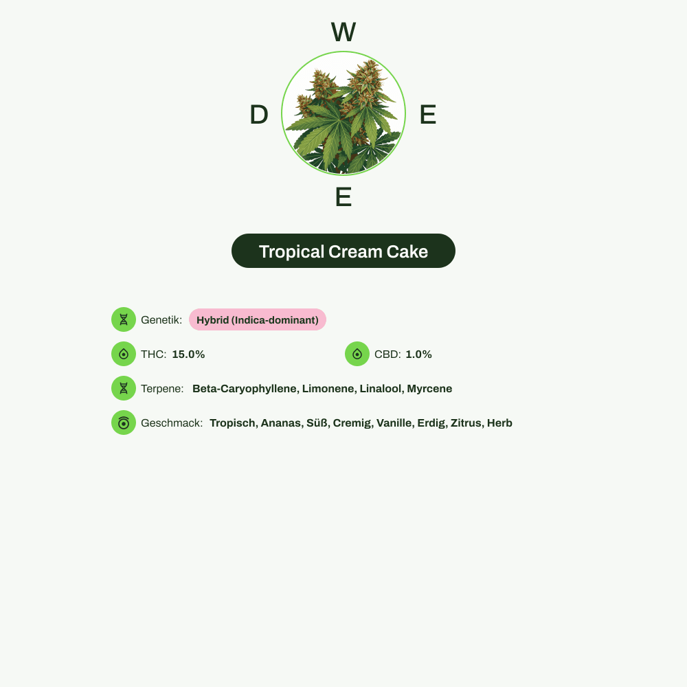 Infografik über THC-Gehalt, CBD-Gehalt, Terpene, Wirkungen, Geschmack von Tropical Cream Cake