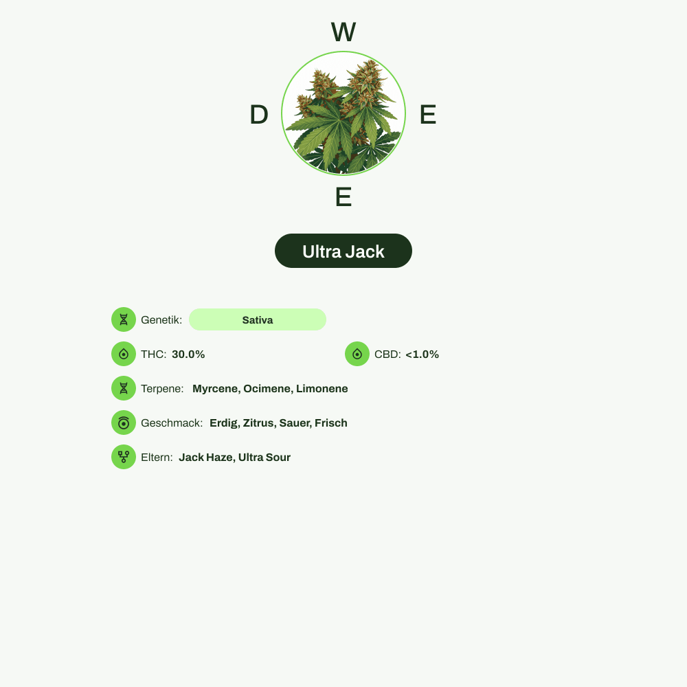 Infografik über THC-Gehalt, CBD-Gehalt, Terpene, Wirkungen, Geschmack von Ultra Jack