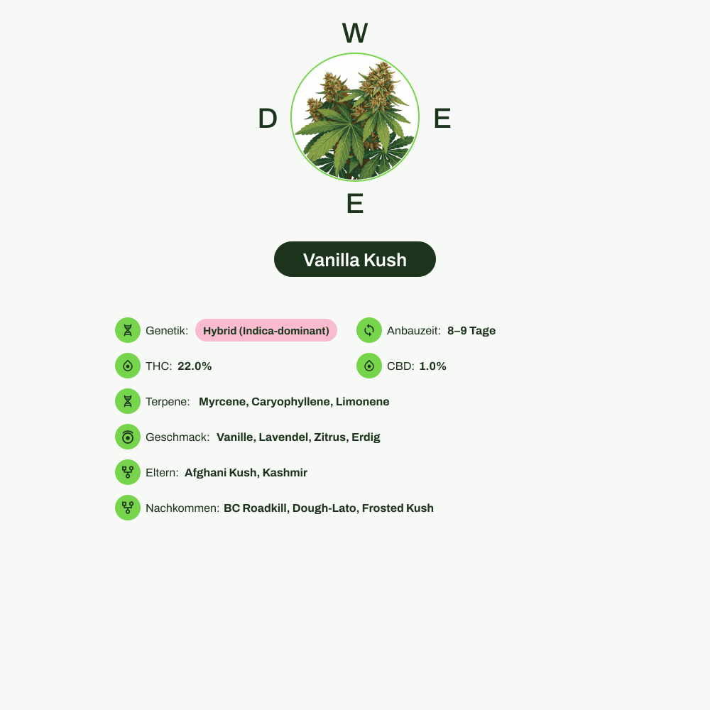 Infografik über THC-Gehalt, CBD-Gehalt, Terpene, Wirkungen, Geschmack von Vanilla Kush